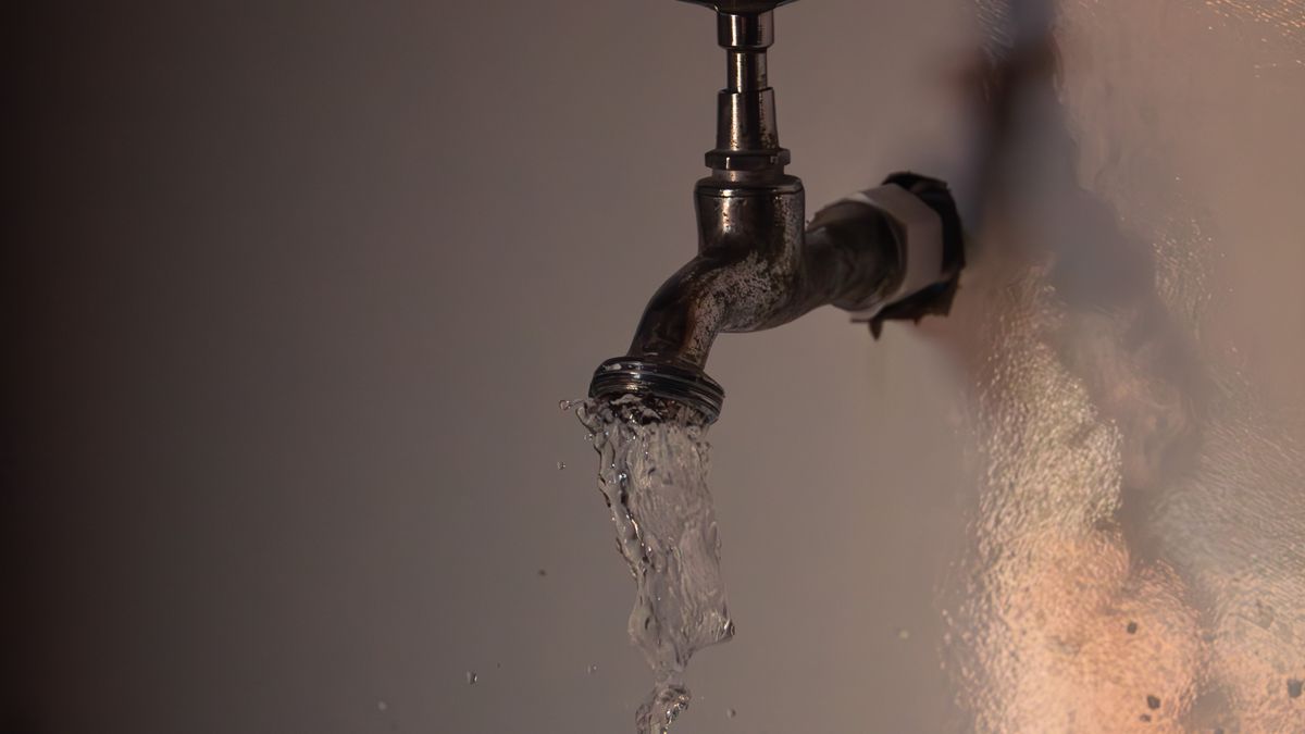Choosing Between a Power Shower and Mixer Shower